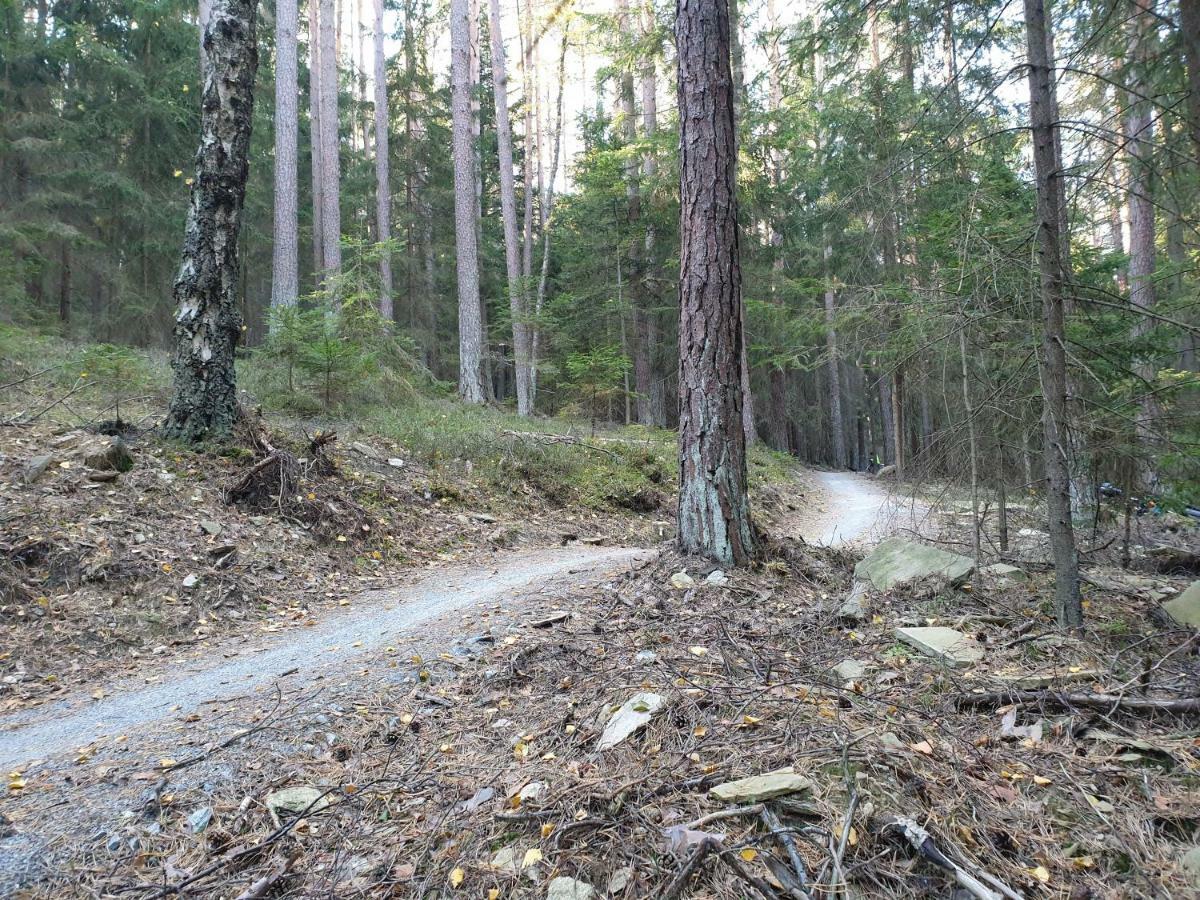 Lipno Nad Vltavou - Apartman 23 - Wifi, Parking, Netflix Exterior photo